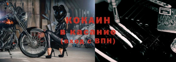 твердый Вяземский