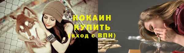 твердый Вяземский