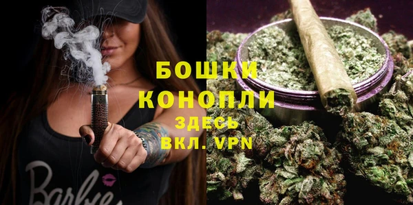 индика Горняк