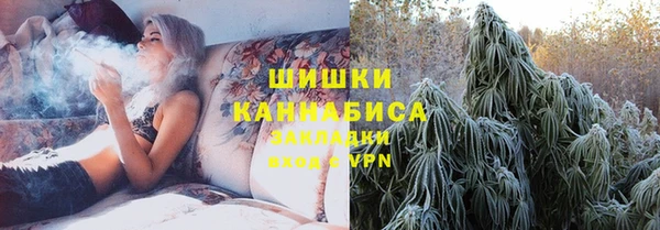 индика Горняк