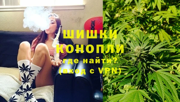 твердый Вяземский