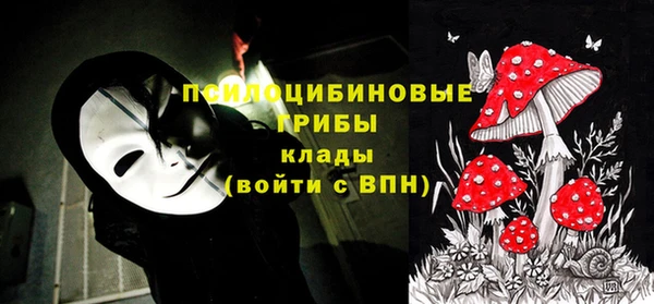 эйфоретик Вязники