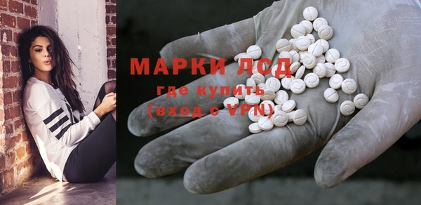 индика Горняк