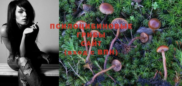 не бодяженный Вязьма