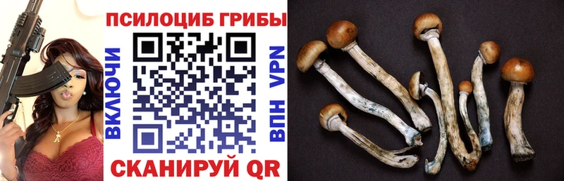 Псилоцибиновые грибы GOLDEN TEACHER  Купить где  Людиново 